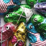 kikkers en muizen