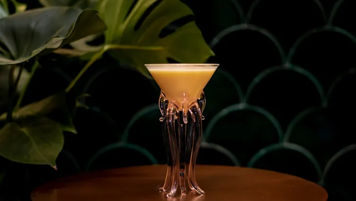 Aan de cocktail bij Idris Elba