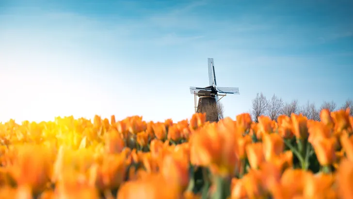 Vastgoed
