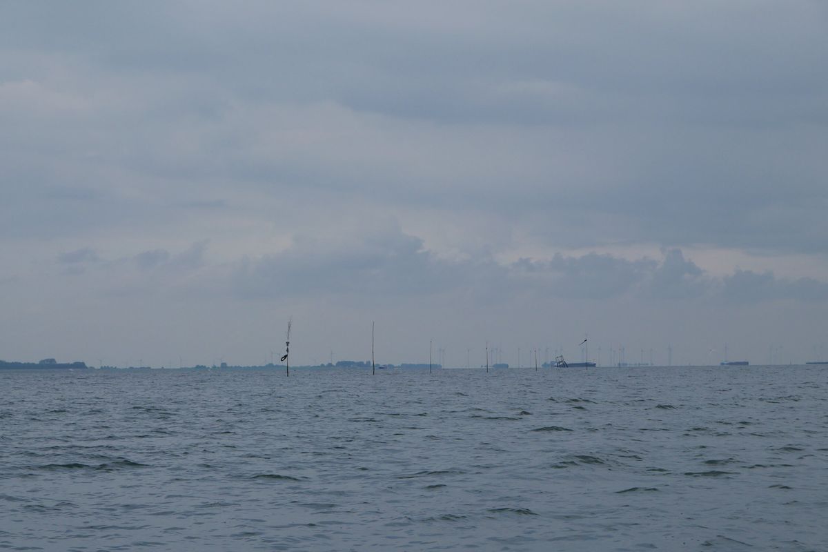 Verstrikt in visnetten op het Markermeer