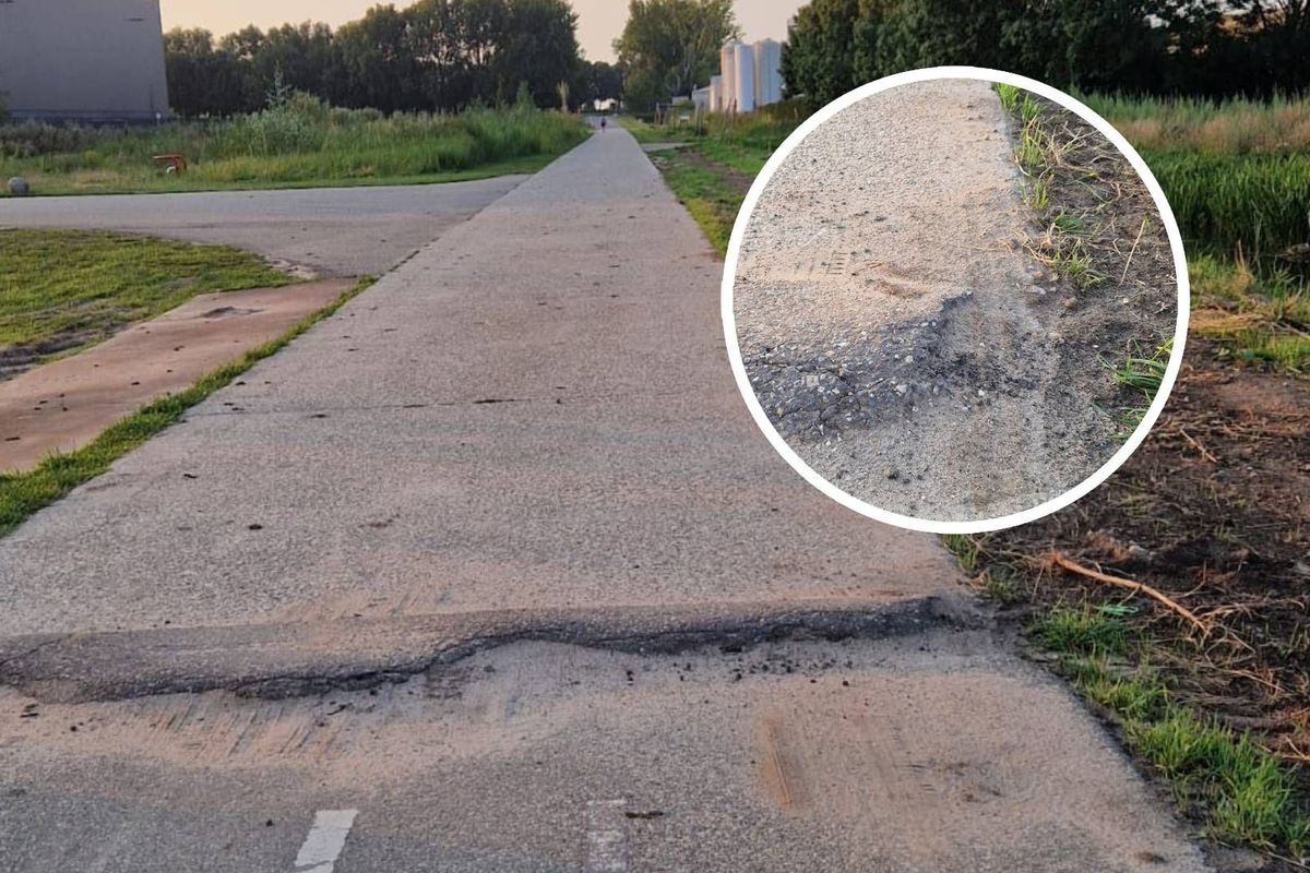 Van onschuldig ritje op de racefiets naar rolstoel: dit is het verhaal van Mark Fooij