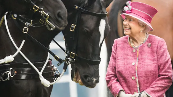 The Crown: Elizabeths paarden