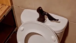 toilet met shifter