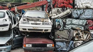 Dieren sterven uit, maar is er ooit een automodel compleet van de aardbodem verdwenen?