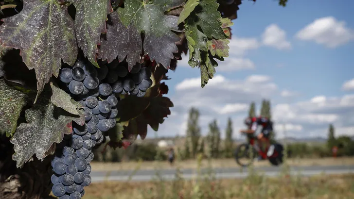 Vuelta in Beeld: Beuken, afzien en stoempen in de tijdrit
