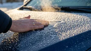 Een tik op de motorkap voor het starten voorkomt in de wintermaanden ernstige mechanische schade en dierenleed