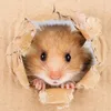 Gerucht over BN'er met hamster in achterste, Boris van der Ham ontkent