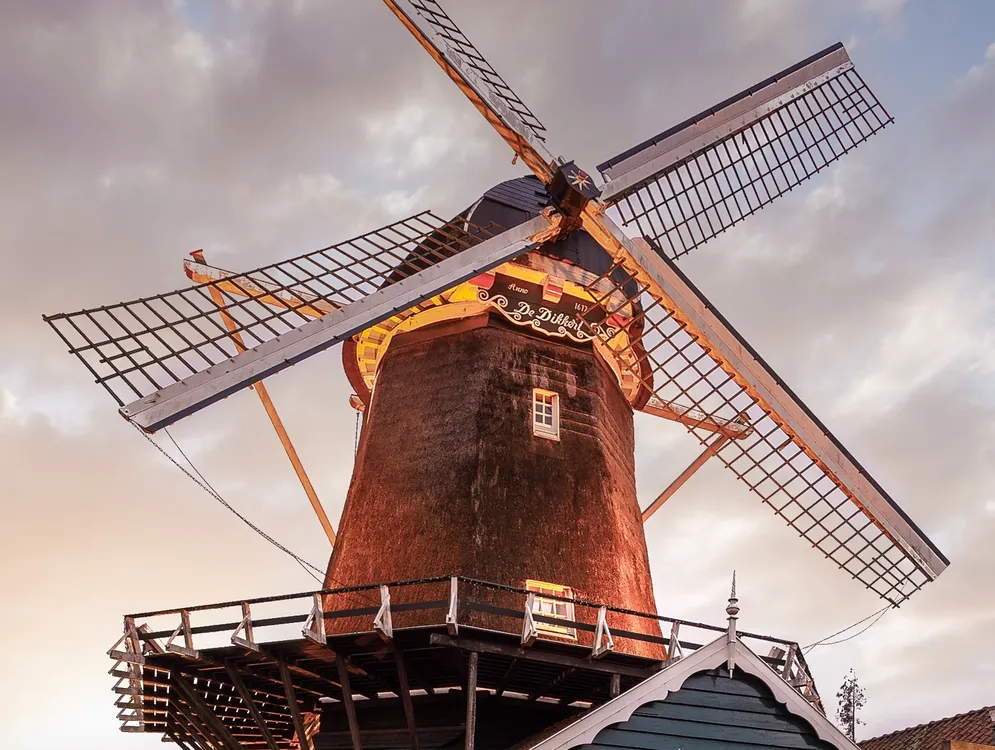 Foto 1 van De Jonge Dikkert