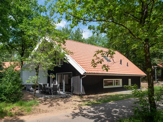 Zo voelt thuiskomen in het bos: een warm winterhuisje tussen de bomen waar je meteen wilt blijven.