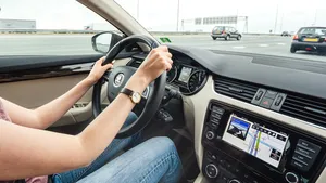 Deze zomerse indringer in je auto kan voor een levensgevaarlijke reflex zorgen