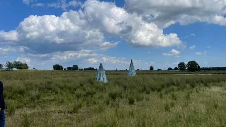 Buitenaardse beleving in het Bargerveen 