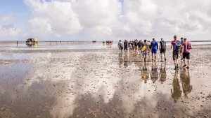 Wadlopen