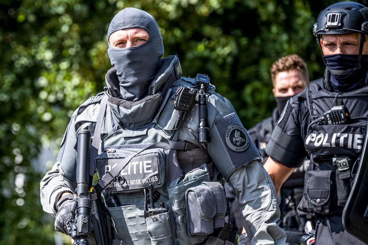 panorama.nl