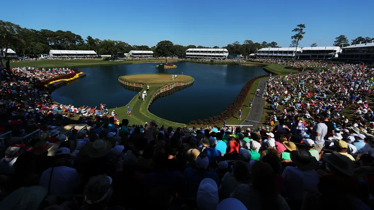 Sawgrass