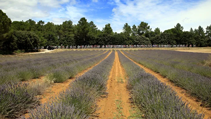 Tour de France vandaag: 19 | Embrun - Salon-de-Provence | 222,5 kilometer