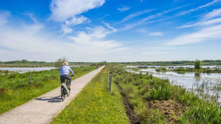 Fietsen in Friesland