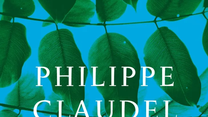 De boom in het land van de Toraja