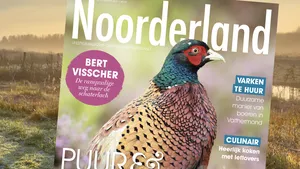 Noorderland nr. 2 2021