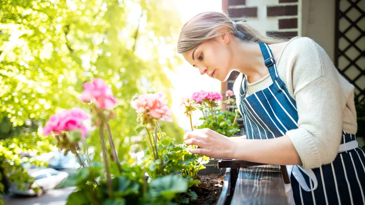 Geen groene vingers? Deze fout met water geven maakt bijna iedereen