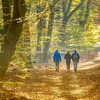 De herfst is begonnen: dit zijn de mooiste herfstwandelingen | Noorderland