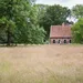 Theetuinen