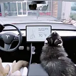 Tesla Dog Mode