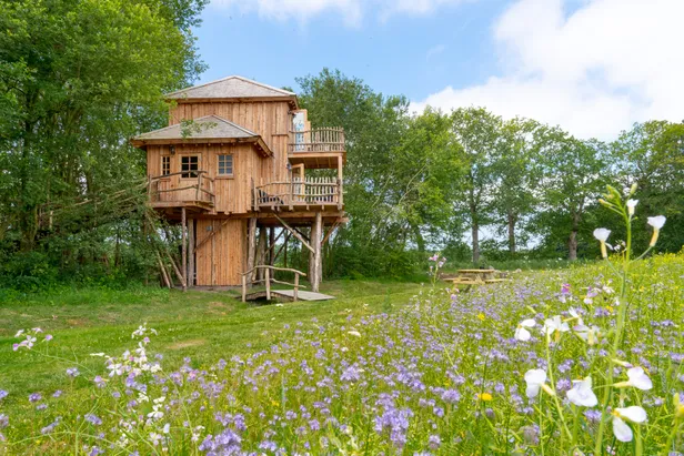 Boomhut in Anderen
