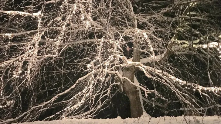Kroonprins Haakon: slechtste royal fotograaf ooit