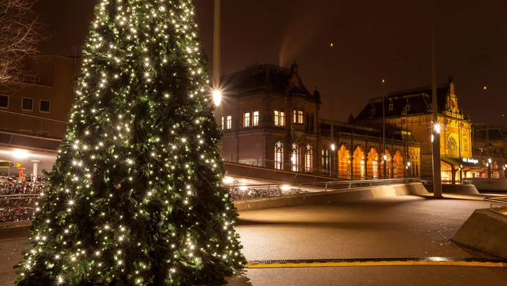 Christamas tree in city near the railway station