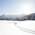 Winterwandelen