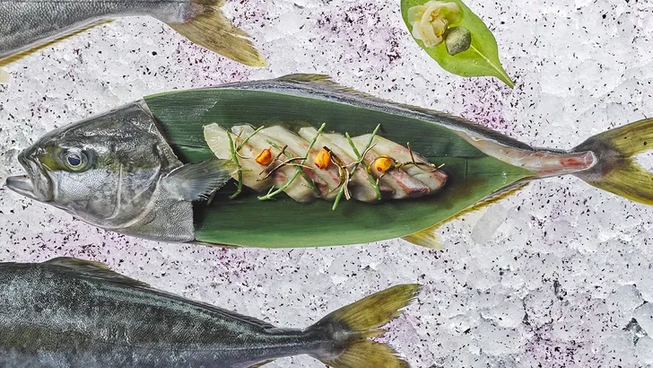 Sushi-heaven: Taiko Cuisine gaat weer open