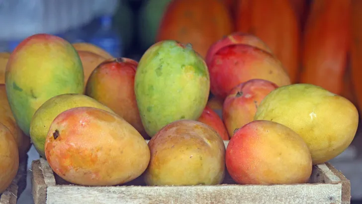 Video: zo schil je een mango in minder dan één minuut