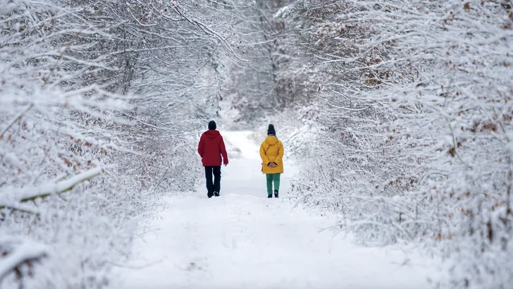 Winterwandeling in Friesland