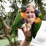 Pantropica