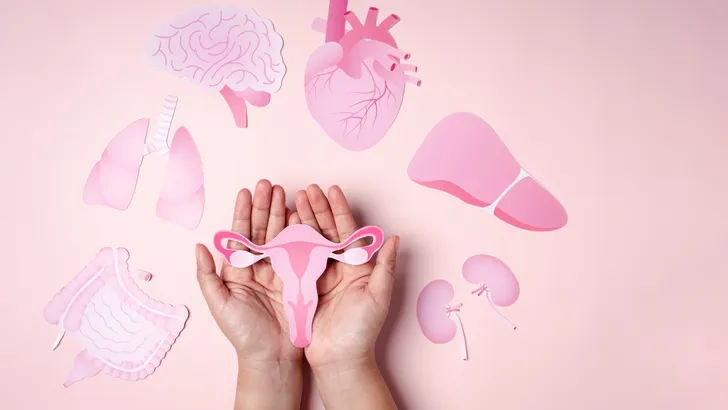 Nooit meer een uitstrijkje? Waarom je menstruatiebloed de toekomst van HPV-testen kan zijn