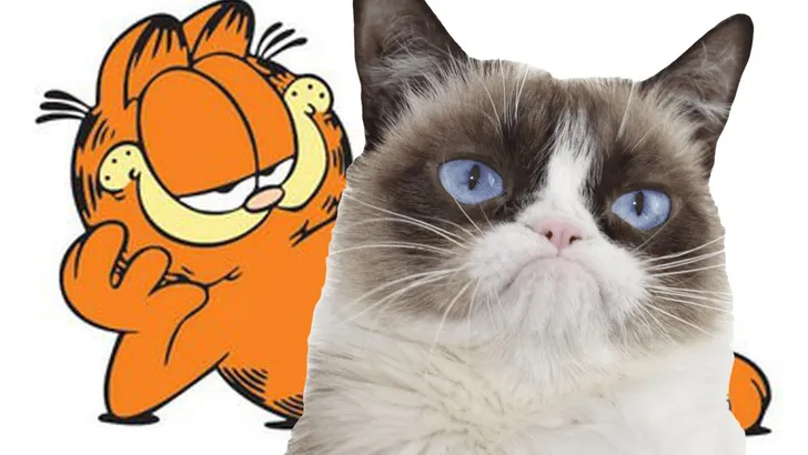kattendag