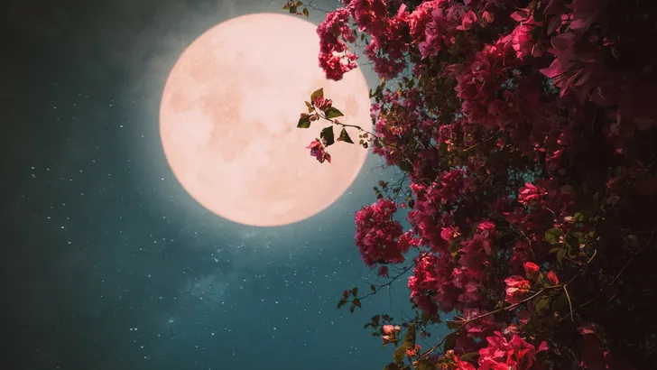 Kijktip: To The Moon is een stralende ode aan de maan 