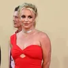 Britney 'hoopt op aanzoek' van ex-klusjesman met strafblad en negen kinderen | Beau Monde