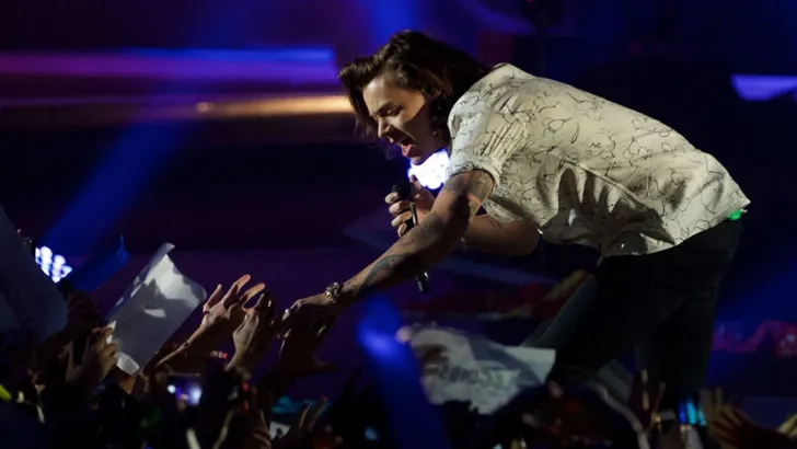 Harry Styles deed het met fan