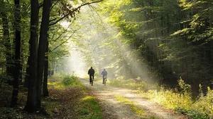 Wereld Fietsdag: 12 toptochten door Nederland 