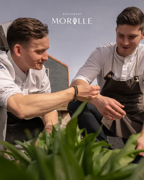 Foto 4 van Restaurant Morille