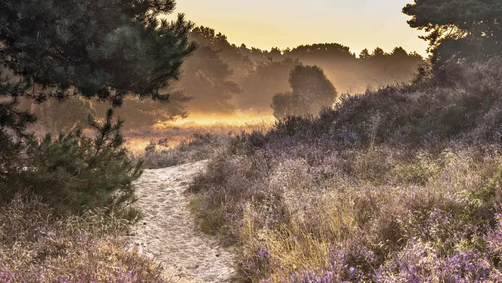 Drenthe