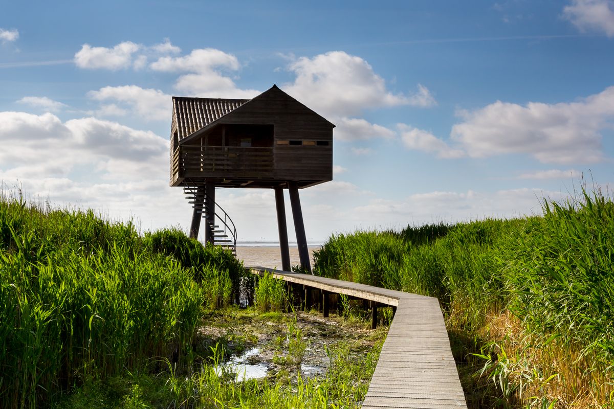 Wandelen boven het water: 3 unieke plankenpaden in Groningen die je echt moet ontdekken