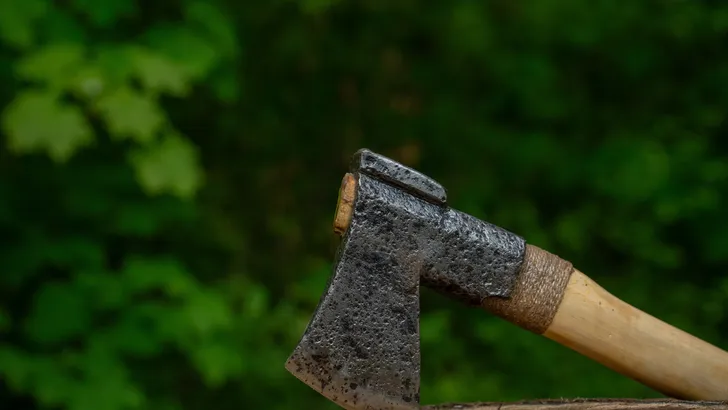 Vrouw (85) die buurvrouw (82) op hoofd sloeg met hakbijl krijgt tbs met voorwaarden