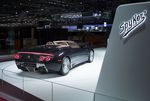 Spyker Cars' merkrechten staan te koop