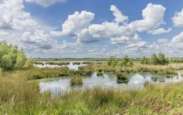 Het Fochteloërveen