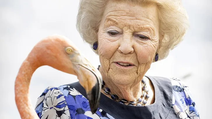 Prinses Beatrix op Curaçao, flamingo Bob steelt de show