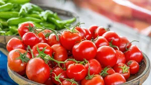 Tomaten kunnen longen ex-rokers sneller herstellen