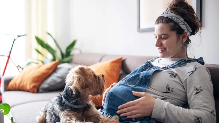 Young pregnant woman sitting on sofa and relaxing at home with dog.