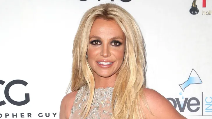 De waarheid over rehab opname van Britney Spears